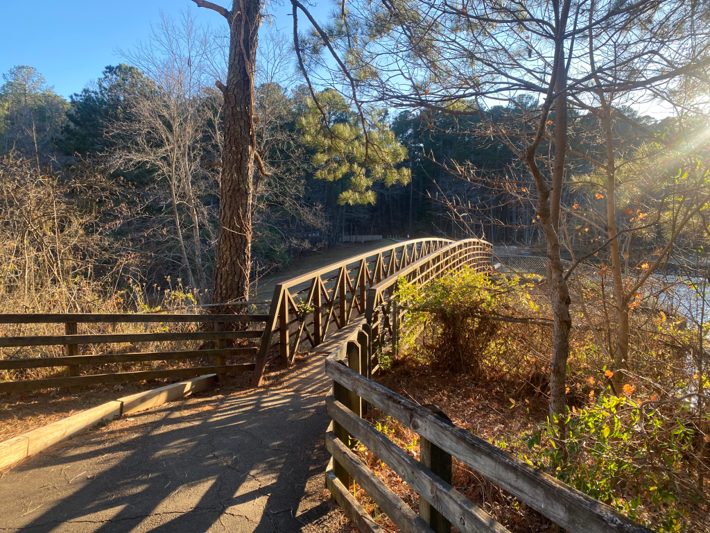 aesthetic nature walk
